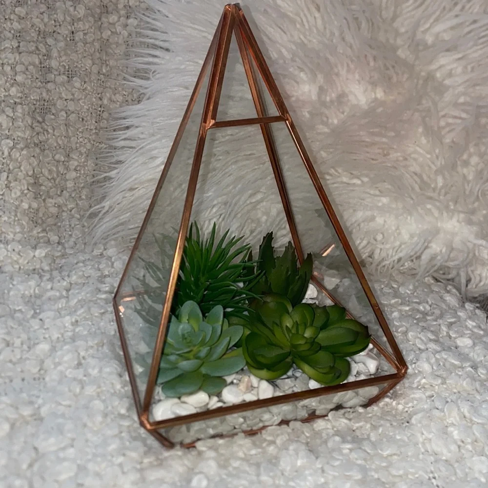 New succulent glass dome decor